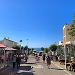 Palmeira Olhos de Agua (Albufeira)