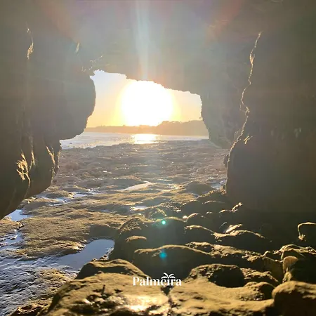 Palmeira Olhos de Agua (Albufeira)