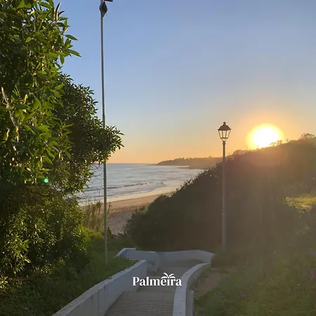 Palmeira