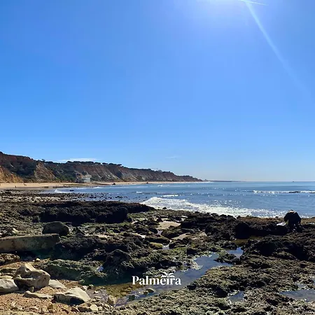 Palmeira Casa de Férias Olhos de Agua (Albufeira)