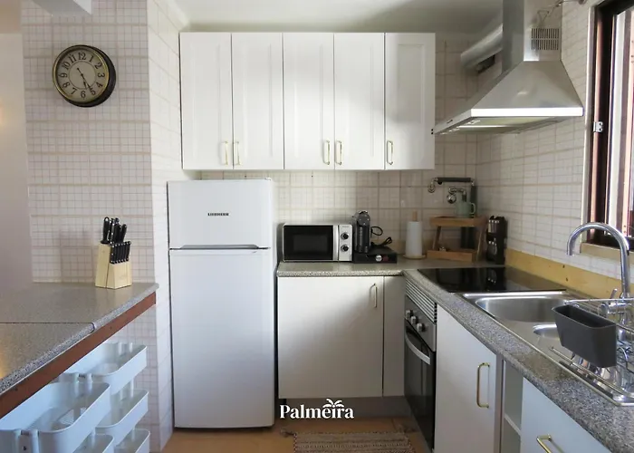 Palmeira Olhos de Agua (Albufeira)