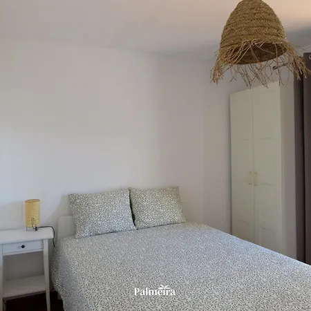 Palmeira *