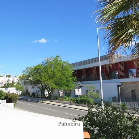Palmeira