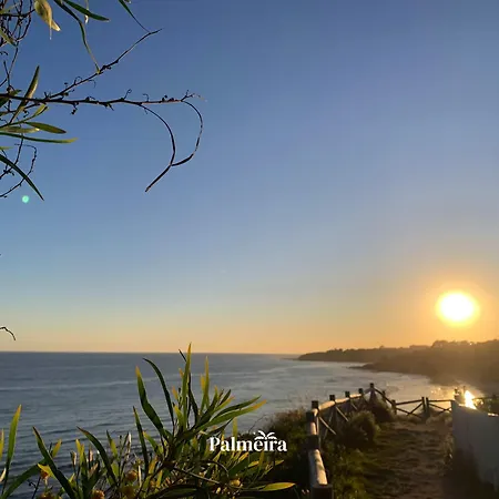 Palmeira *