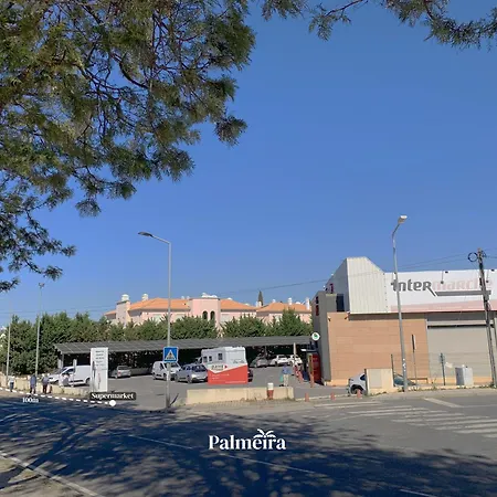 Palmeira