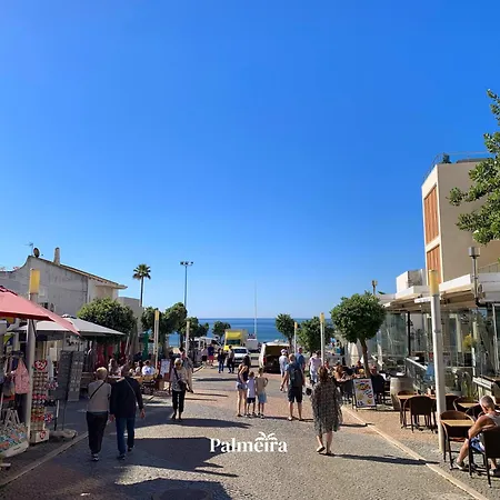 Palmeira Olhos de Agua (Albufeira)
