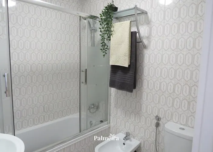 Palmeira Olhos de Água