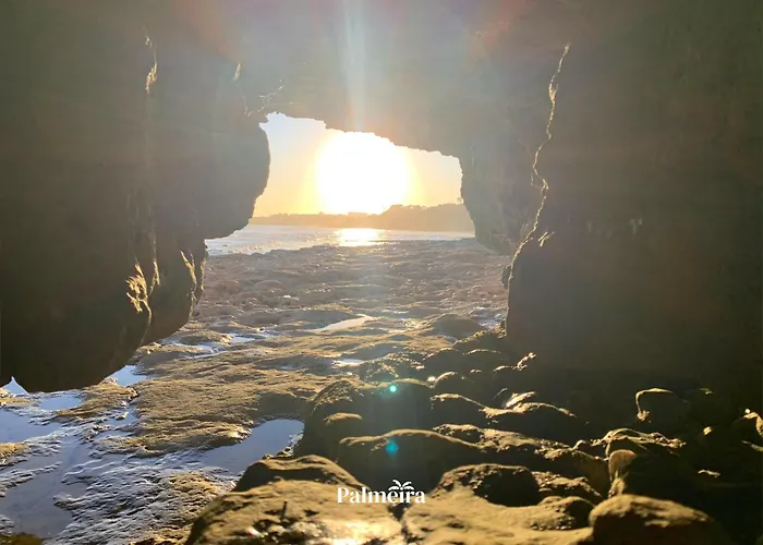 Palmeira Olhos de Agua (Albufeira)