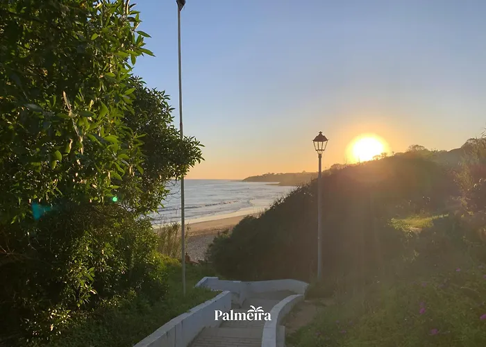 Palmeira
