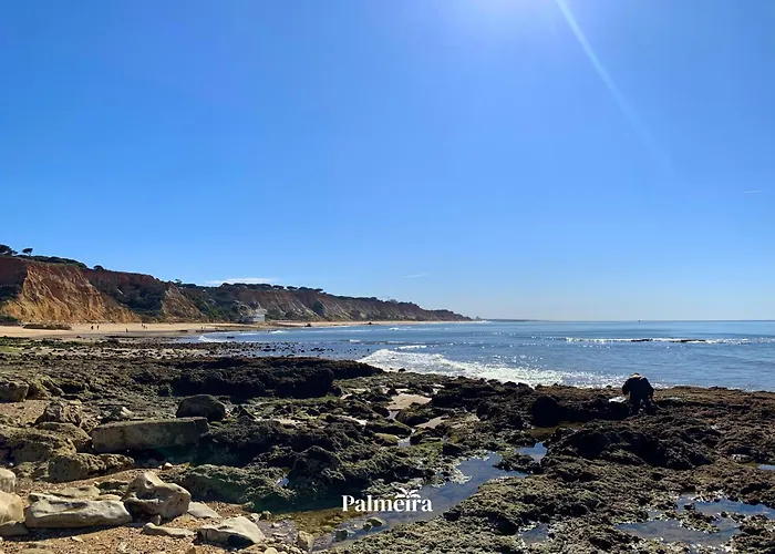 Palmeira Hébergement de vacances Olhos de Agua (Albufeira)