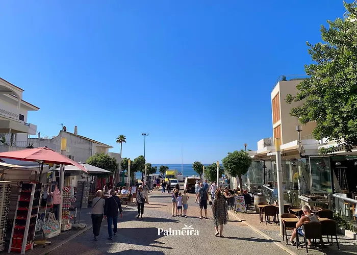 Palmeira Olhos de Agua (Albufeira)