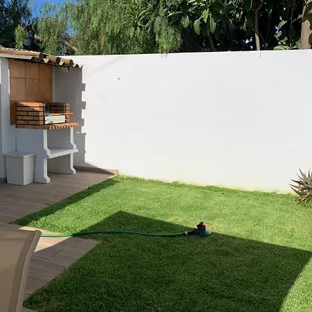 Palmeira